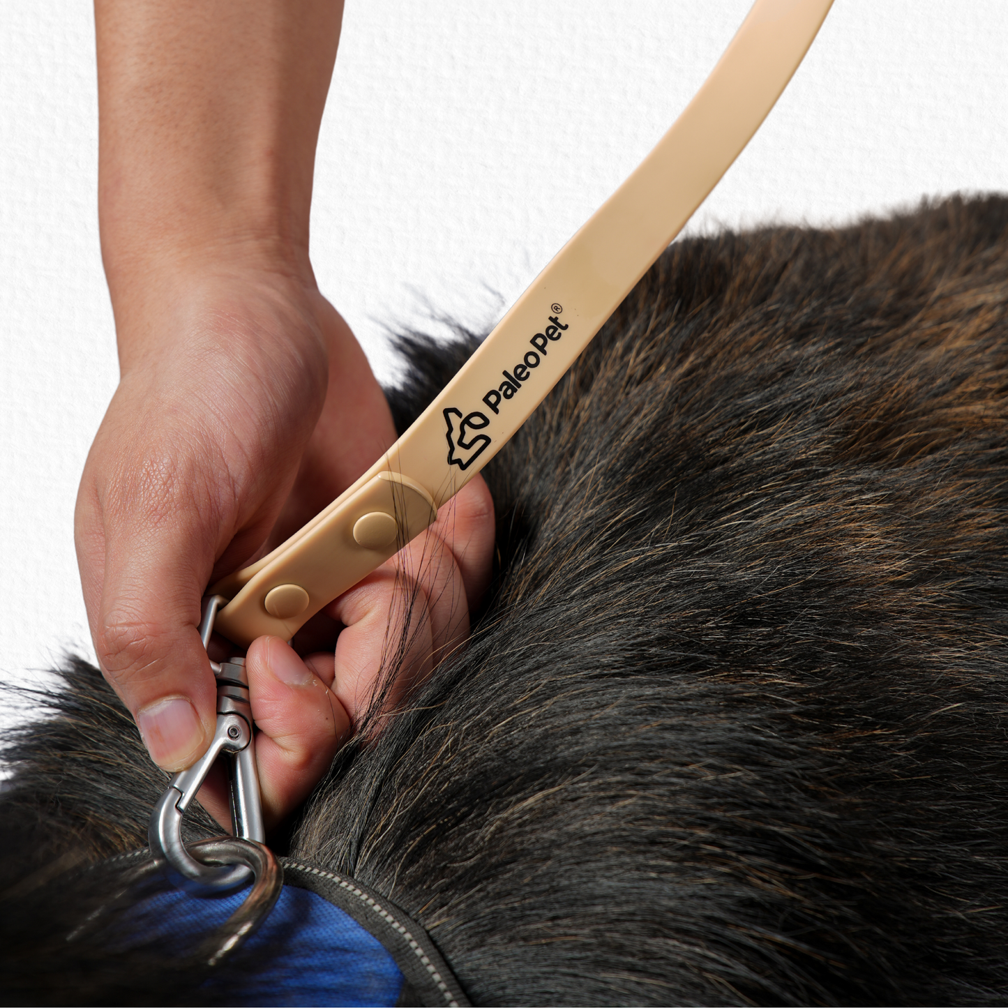 paleo pet body collar