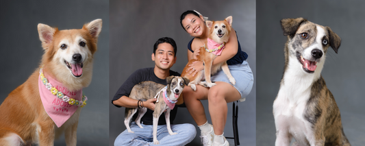 The Story of Peaches and Chia: The Journey to Optimal Pet Nutrition