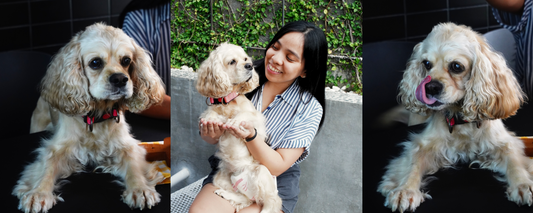 Kelly’s Story and the Impact of a Human-Grade Diet