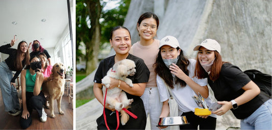 Paleo Pet: The Local Real Meat Pet Food Business (What You Should Know)