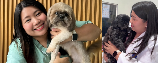 Why Real Protein Should Be Your Pet's New Year's Resolution?