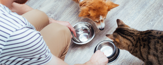 Preparing Your Pet's Bowl with the Diet Nature Intended