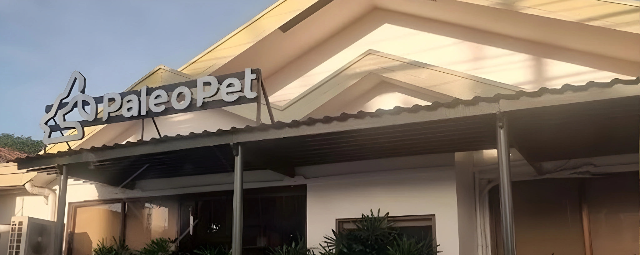 about banner paleo img