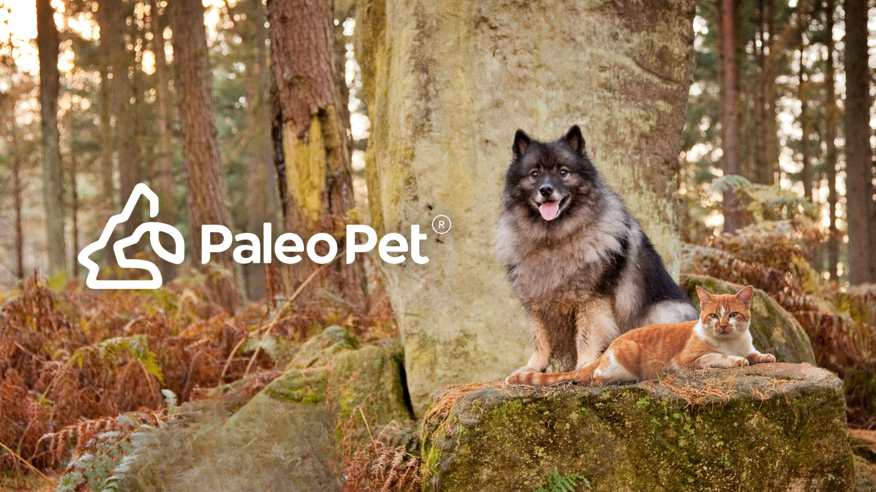 paleo pet background image